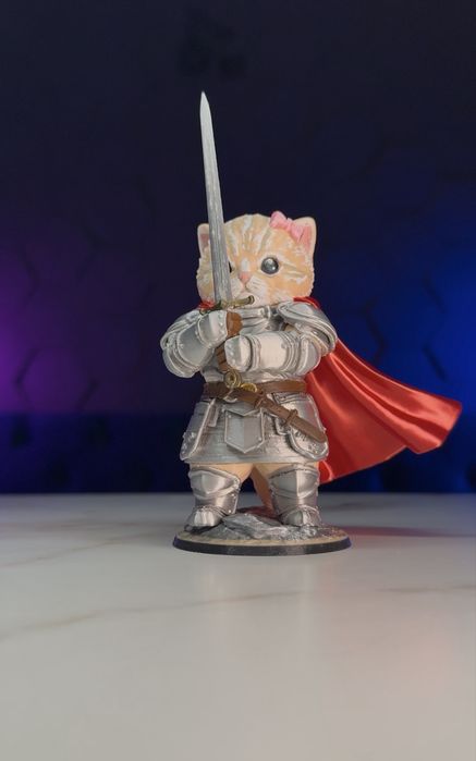 Котик-лицар/Knight cat + бонус для військових