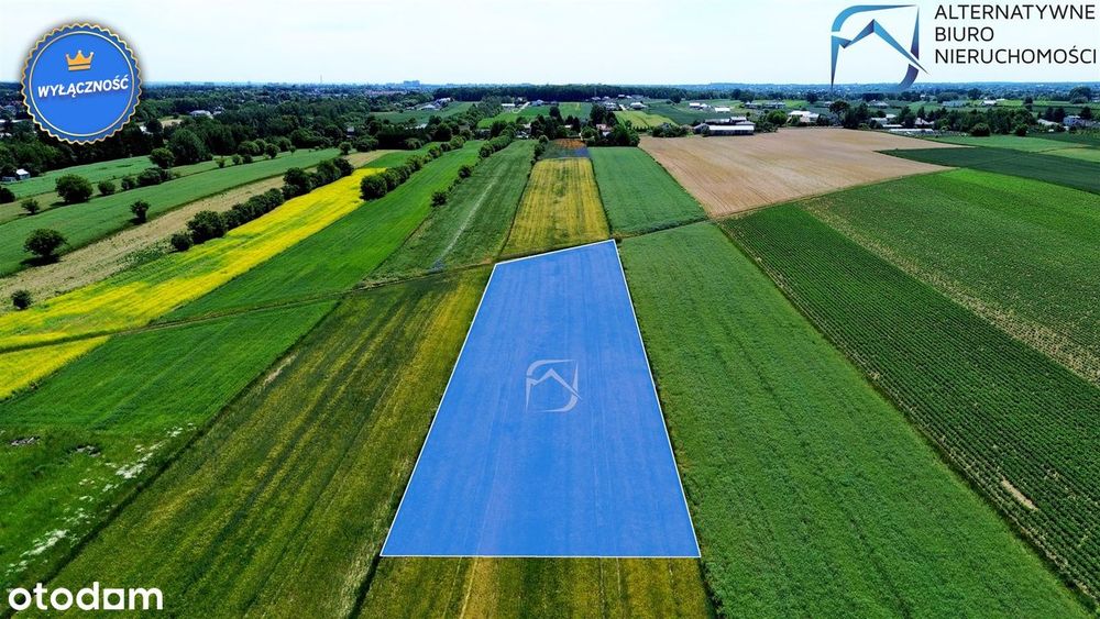 Atrakcyjna działka rolno-budowlana w Natalinie - View 3