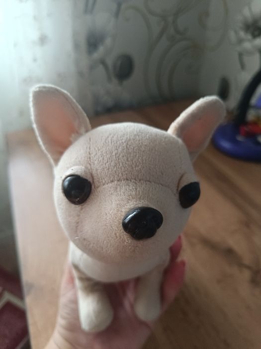 М'яка іграшка собачка Чіхуахуа Chi Chi Love
20 см