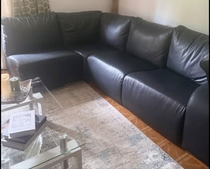 Sofa   Semi Pele