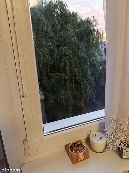 Mieszkanie od zaraz