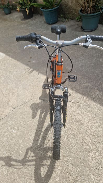 Bicicketa orbita