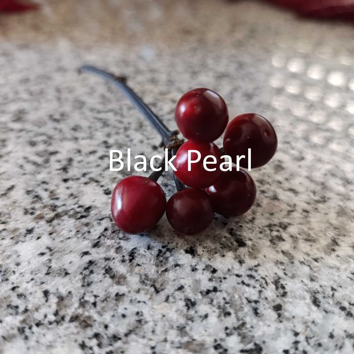 Sementes Pimentas (Colheita 2025)