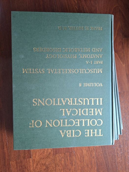 4 livros Netter de anatomia e fisiologia