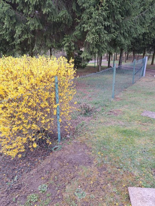 Ogrodzenie z siatki powlekanej