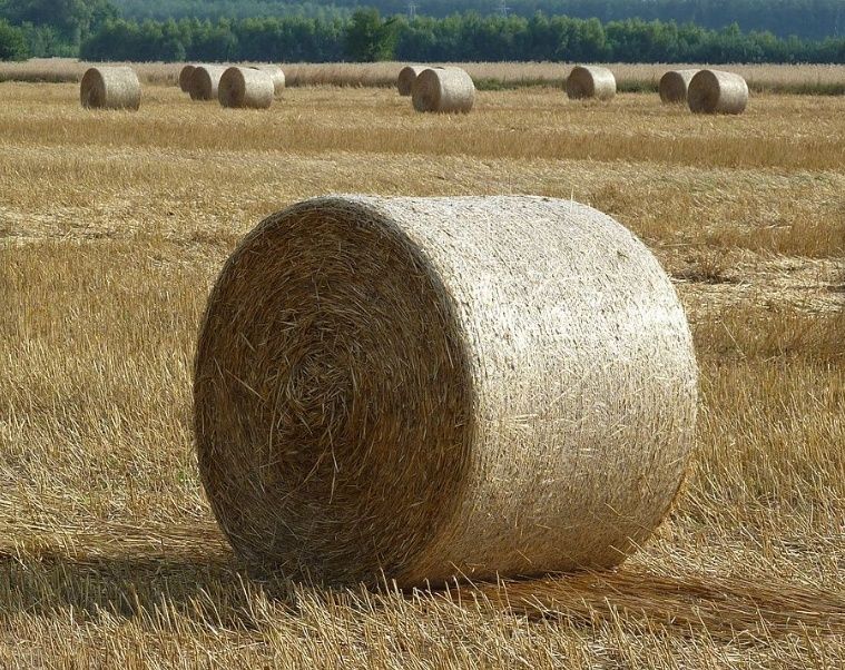 Sprzedam słomę w siatce 120cm transport