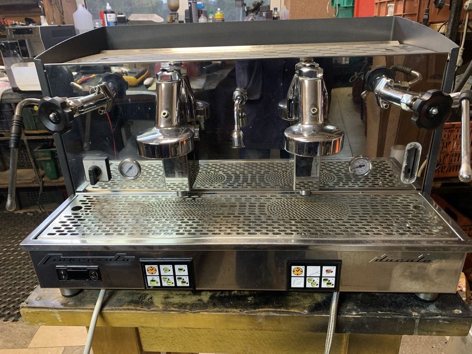 Кофемашина Fiorenzato Ducale 2G ELE