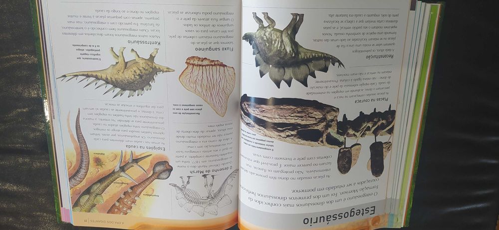 Livro: Enciclopédia dos Dinossauros