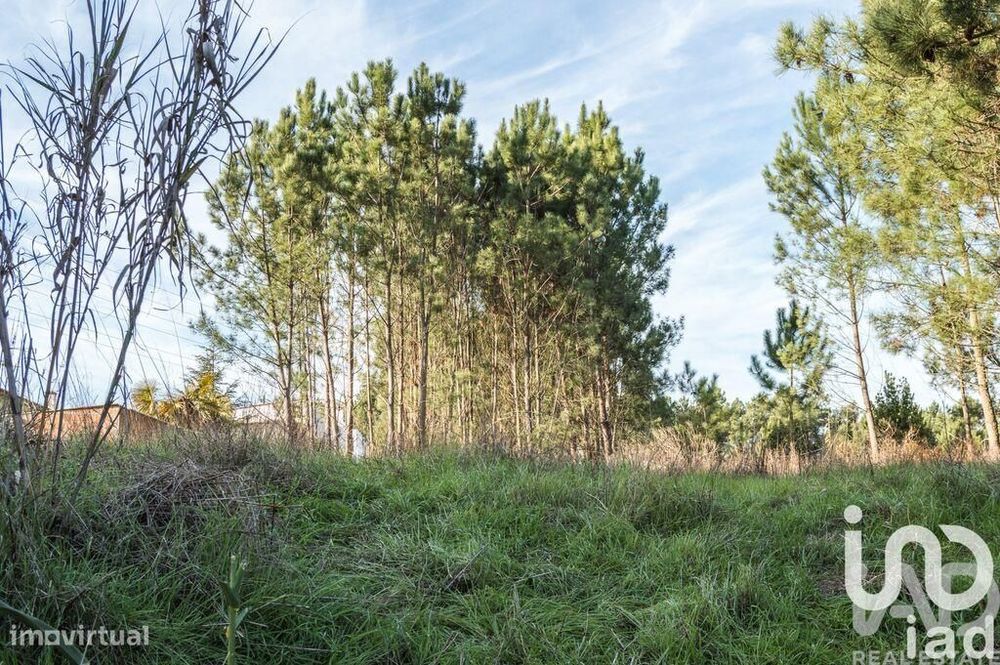Terreno em Marinha Grande