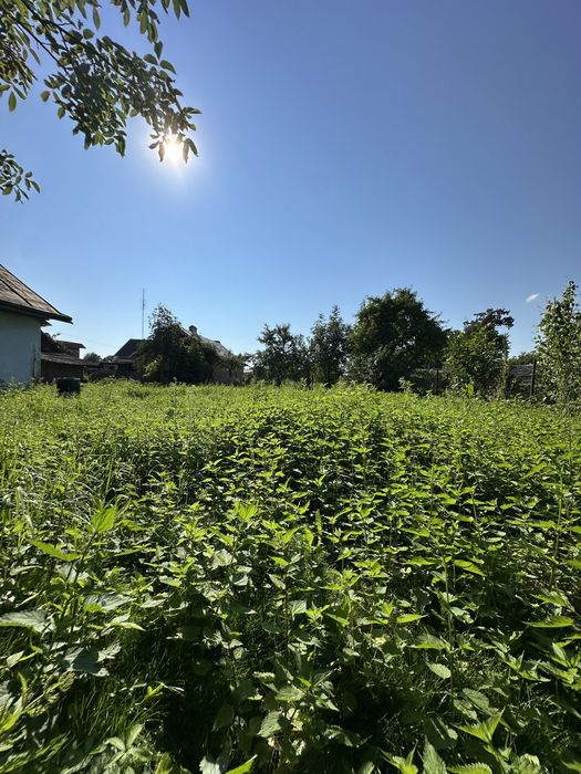 Продаж будинку та ділянки в с.Миклашів (Львівська область )