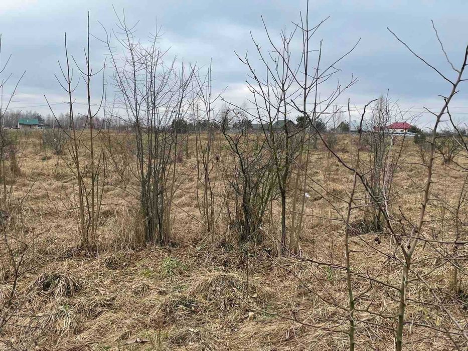 Земельна ділянка 25 сот. с. Замочок