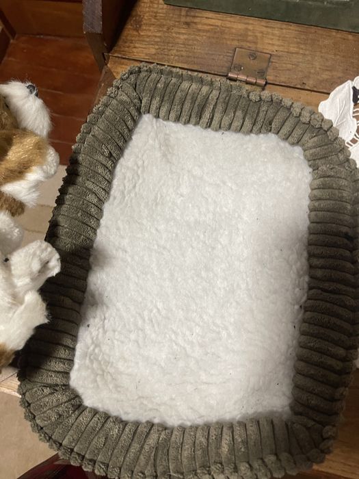 Brinquedo cao de peluche