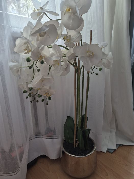 Orchidea biała storczyk duży Home&you