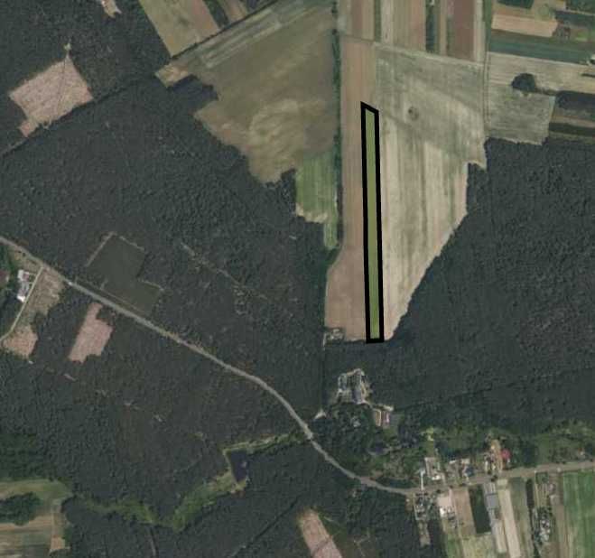 Działka siedliskowa Suntago Wycześniak Żyrardów Mszczonów