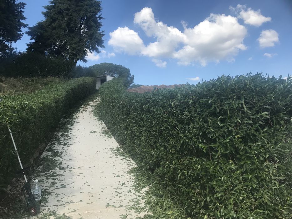 Jardineiro FerreiraGarden