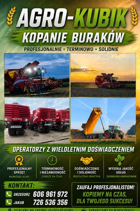 Kopanie buraków cukrowych , usługa zbioru Grimme