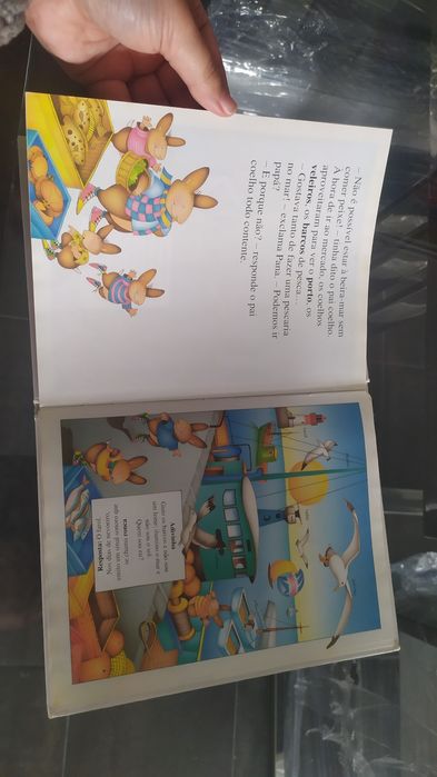 Livro os coelhinhos descobrem o mar