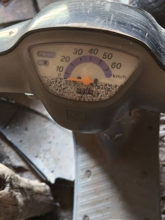 Мопед Honda Pal цілий