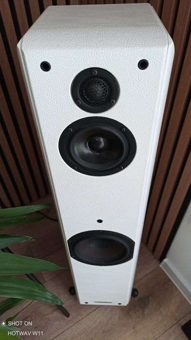 Roksan Oxygene Sonus Faber Toy Tower