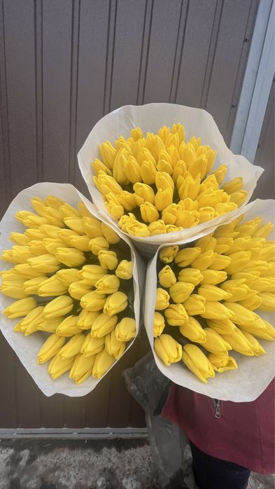 101 тюльпан =3800грн( власне виробництво)