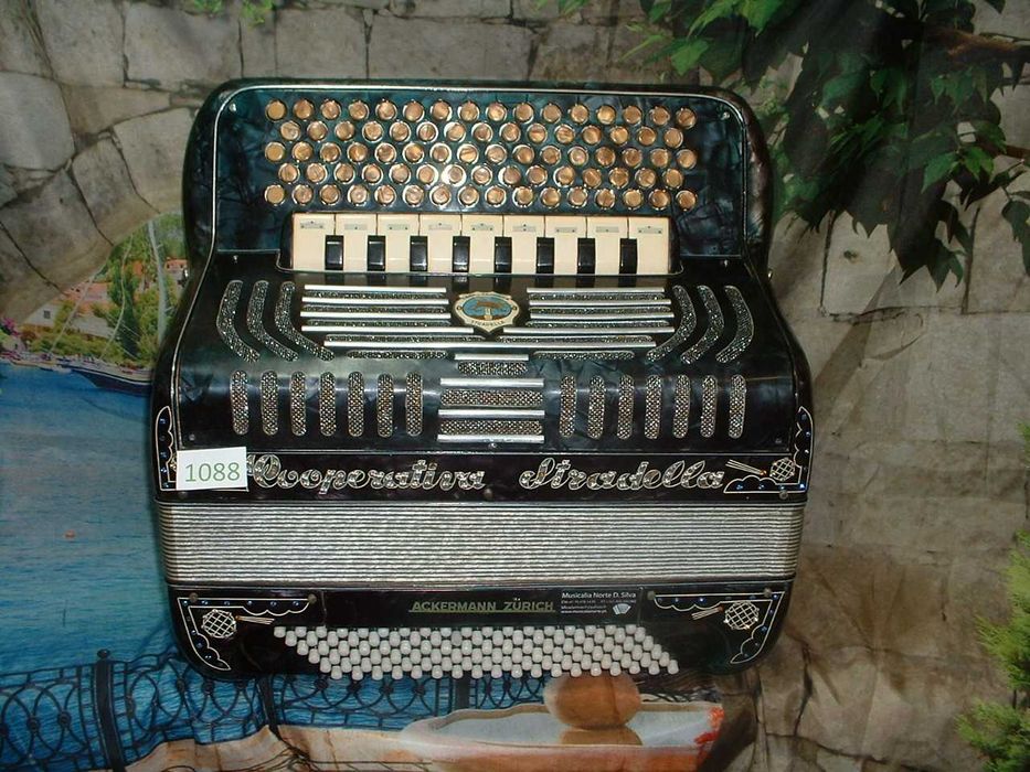 Promoção de Acordeões de concertinas