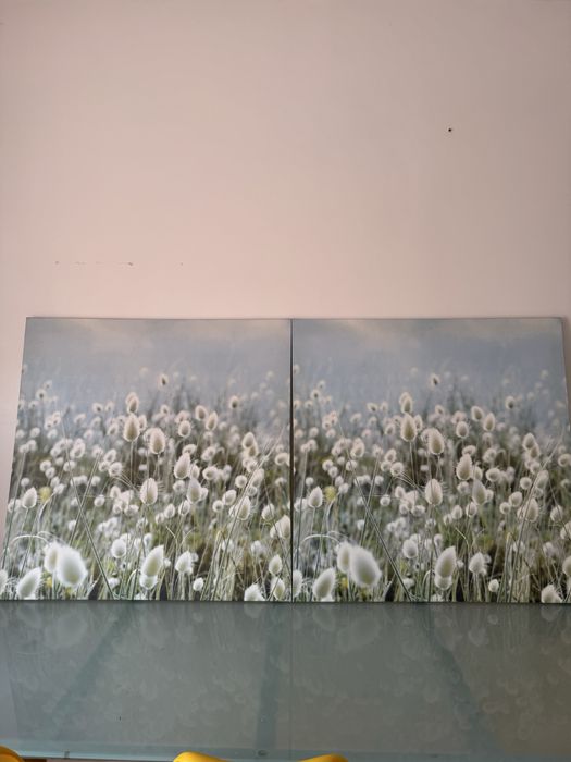 Dois quadros com desenhos de flores