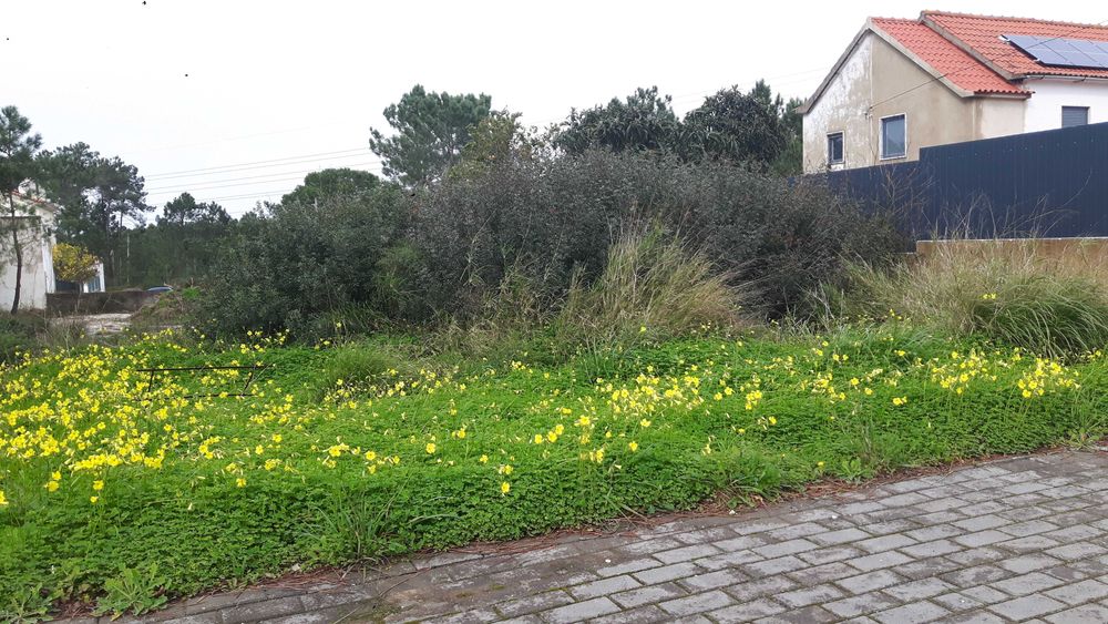 Vendo terreno urbano em Fernão Ferro