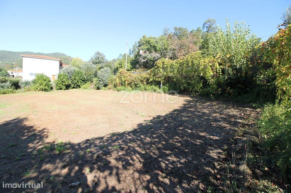 Terreno com possibilidade de construção de Moradias, Goães