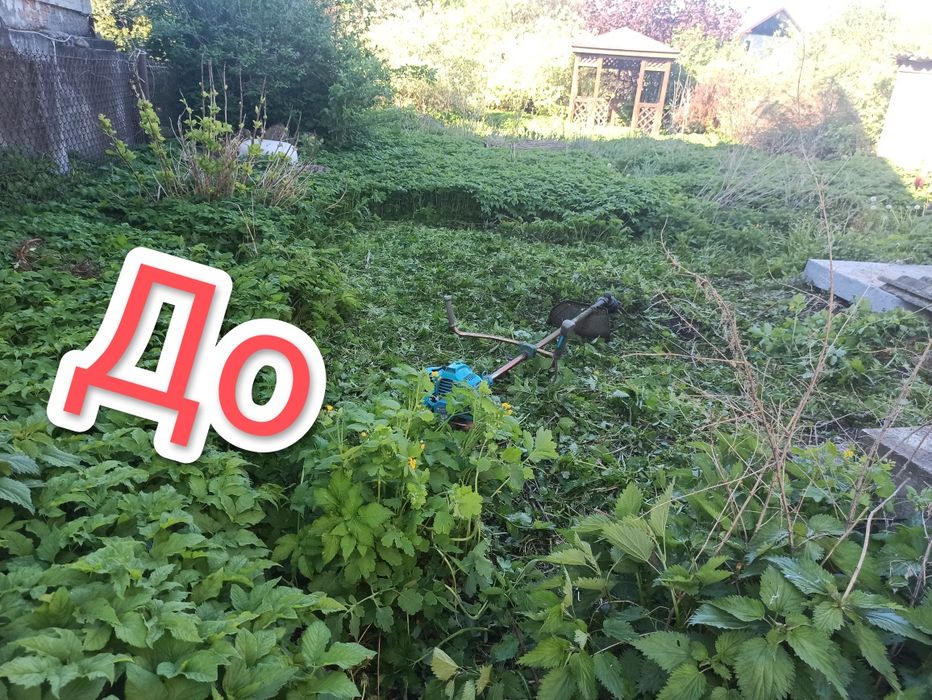 Очищаємо засмічені ділянки.Косимо траву будь-якої складності. Догляд за вашим газоном .