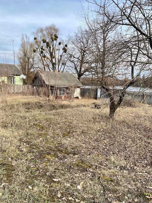 Продам земельну ділянку Шаровка Богодухівський район (169139)