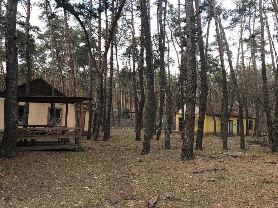 Продам базу отдыха 4 Га в Обуховке