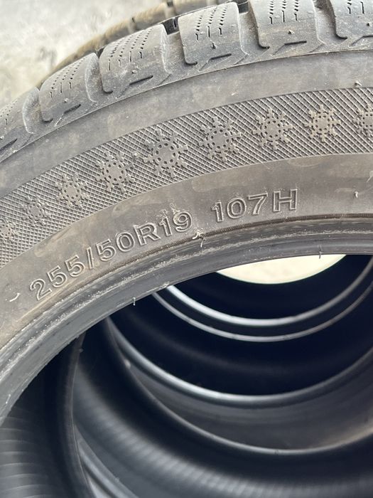 255.50.19 -2025р. Lassa competus winter2plus