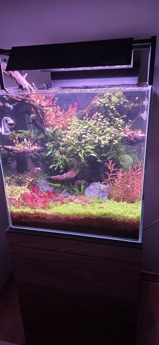 Gotowa aranżacja wwraz z roślinami!