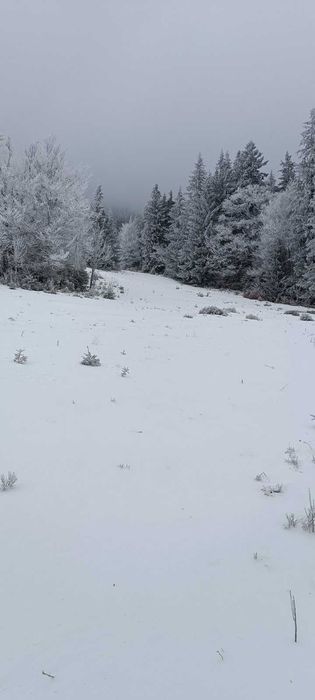 Земля в Закарпатті біля озера "Синевир"
