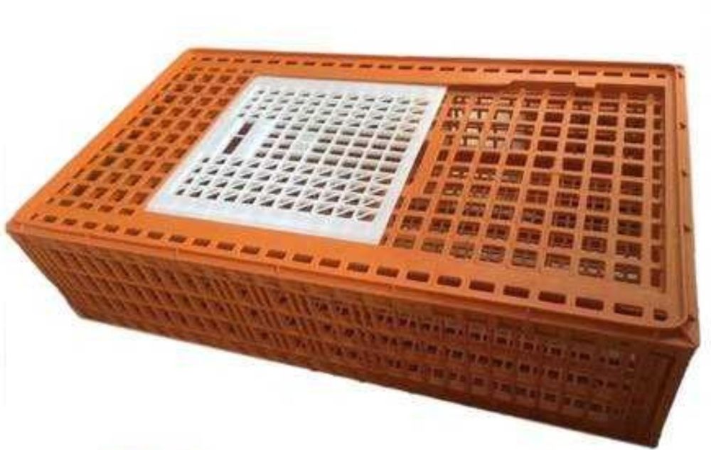 Ящик для птиці продам 16шт