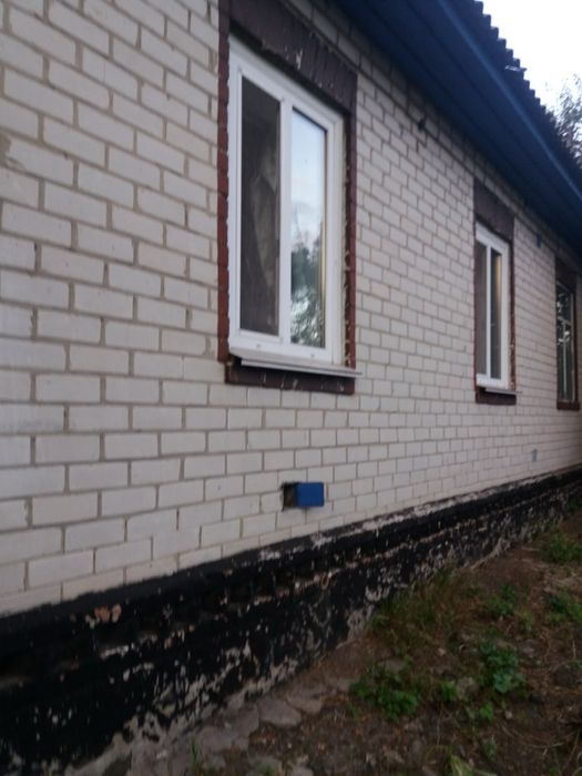 Великий приватний будинок с.Ясна Зірка  Носовський р-н