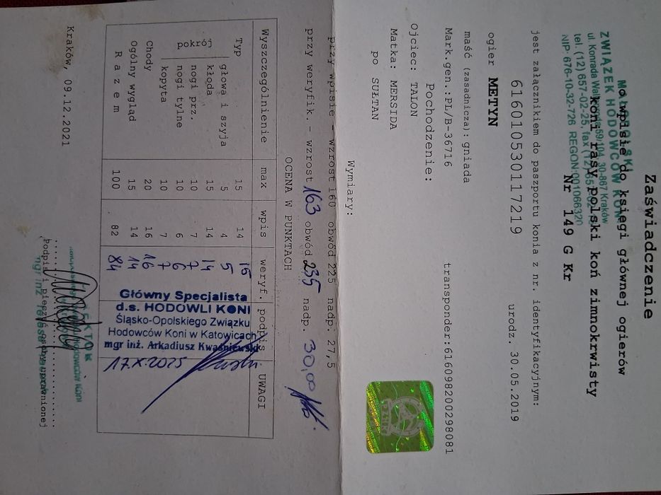 Stanówka ogiery pkz /sztum