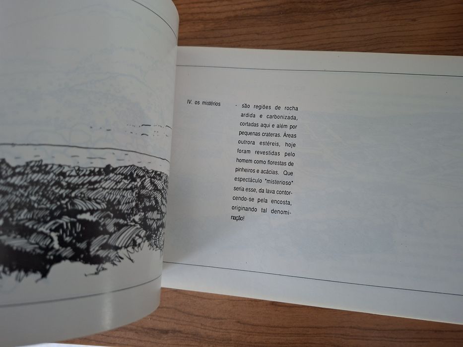 A Ilha do Pico e a Paisagem dos Muros Negros