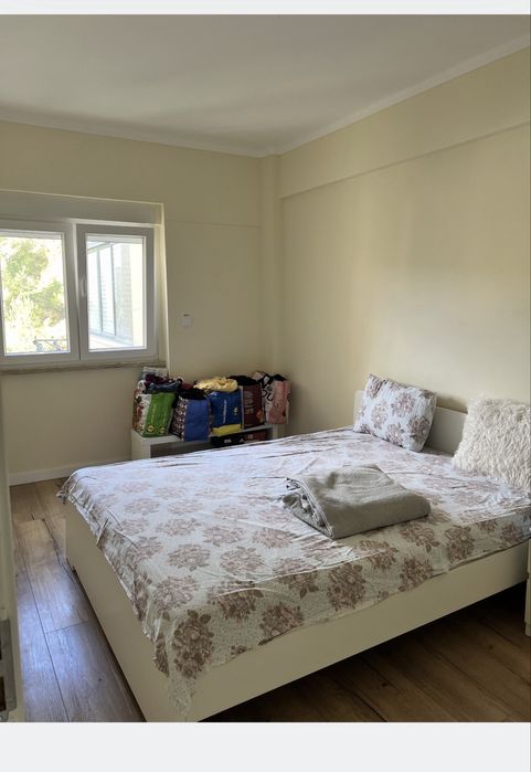 Quarto individual 450
