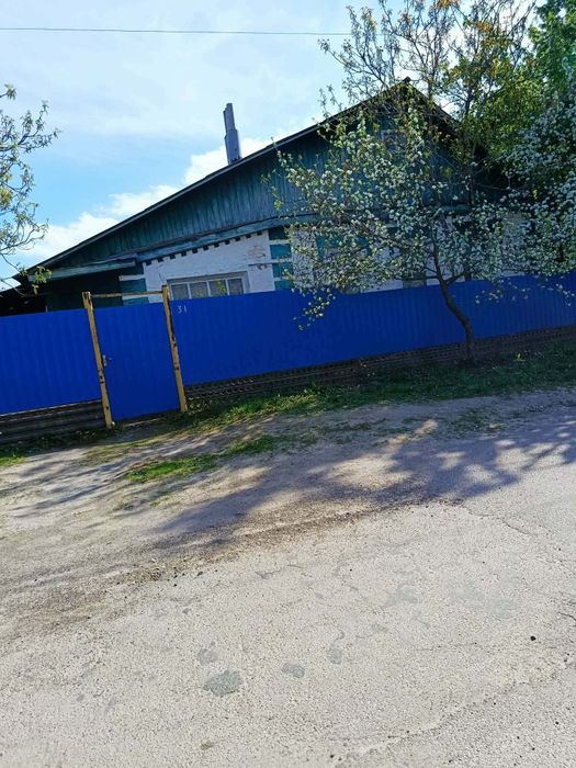 Продам будинок в м. Городня