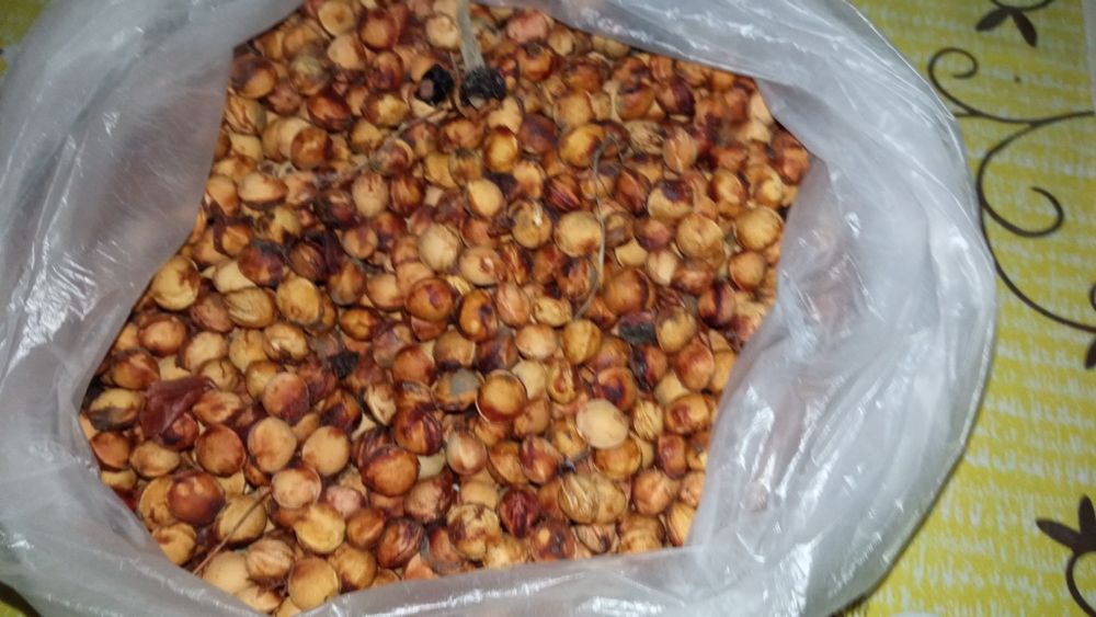 Продам косточку вишни