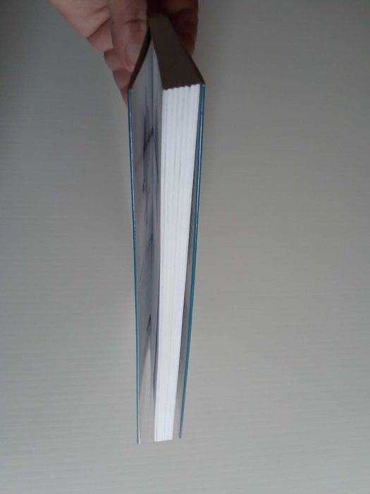 Livro "Como Ter Sucesso no LinkedIn", de Rui Pedro Caramez