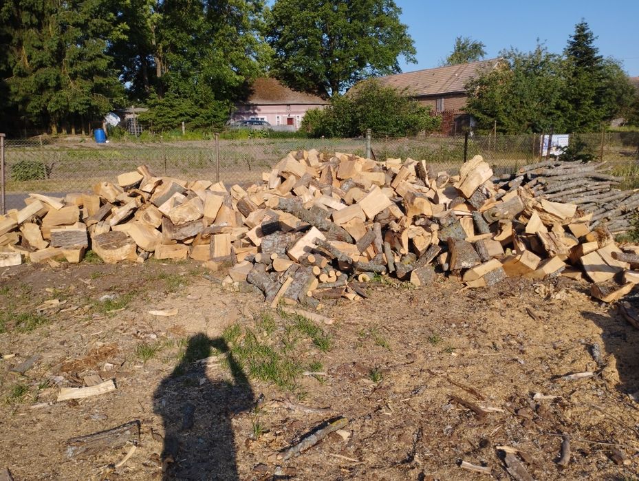 Drewno opałowe buk dąb klon brzoza sosna świerk