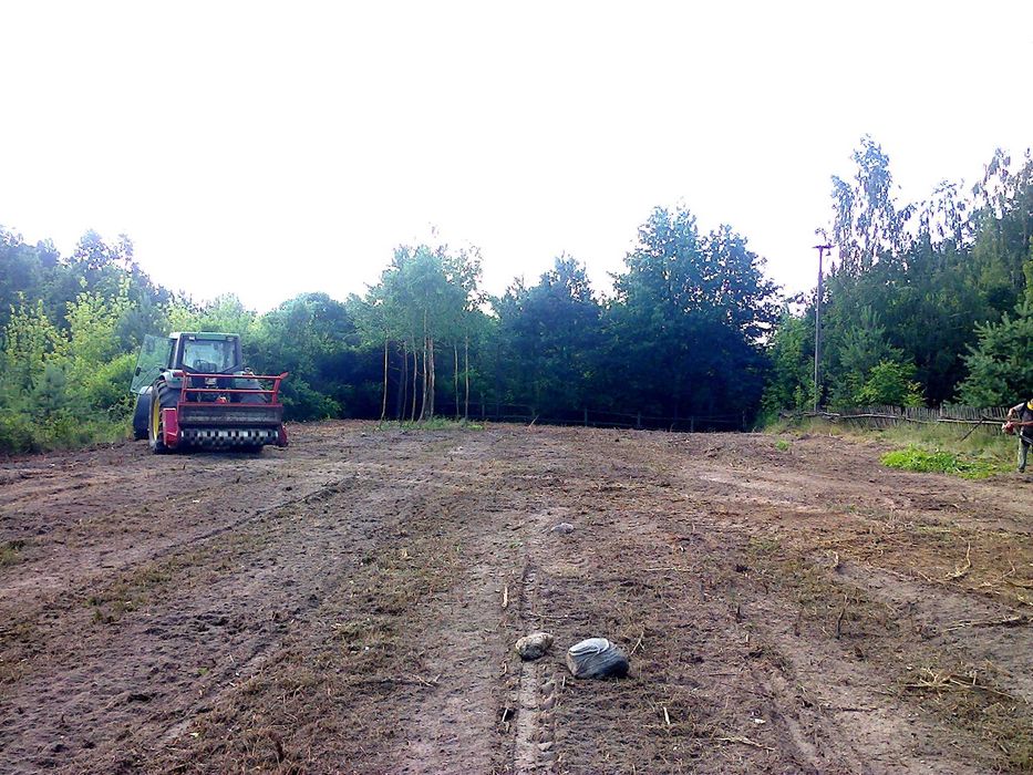 wycinka drzew, mulczerowanie