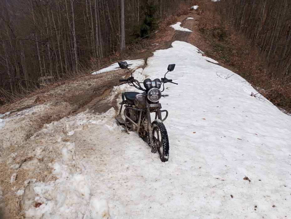 Mustang Fit 125 продам