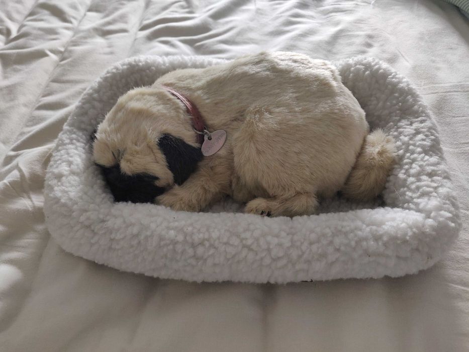 Conjunto de Peluches