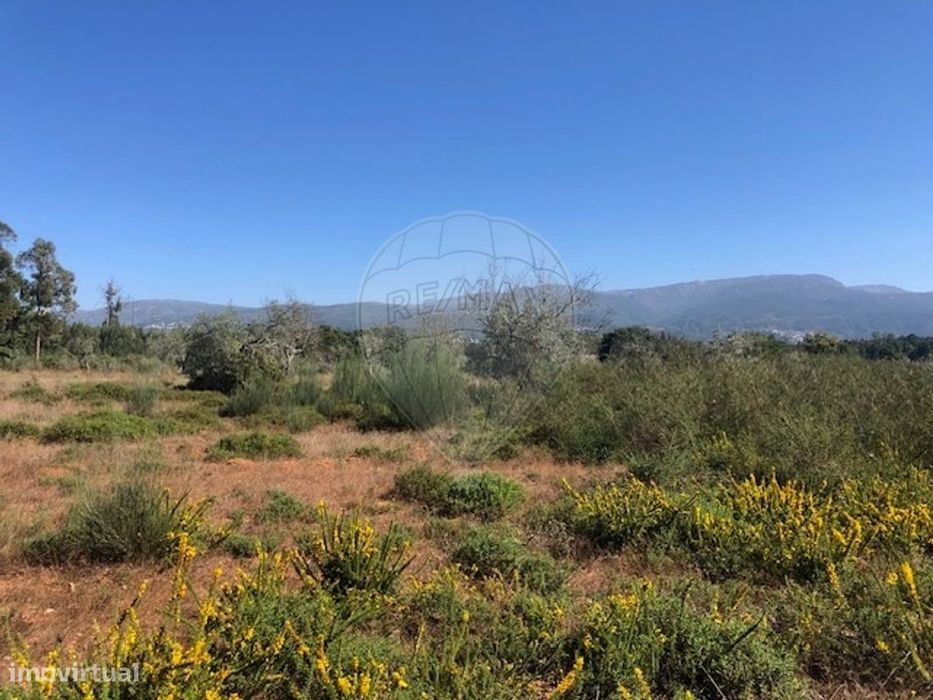 Terreno  para venda — Carragozela E Várzea De Meruge, Guarda