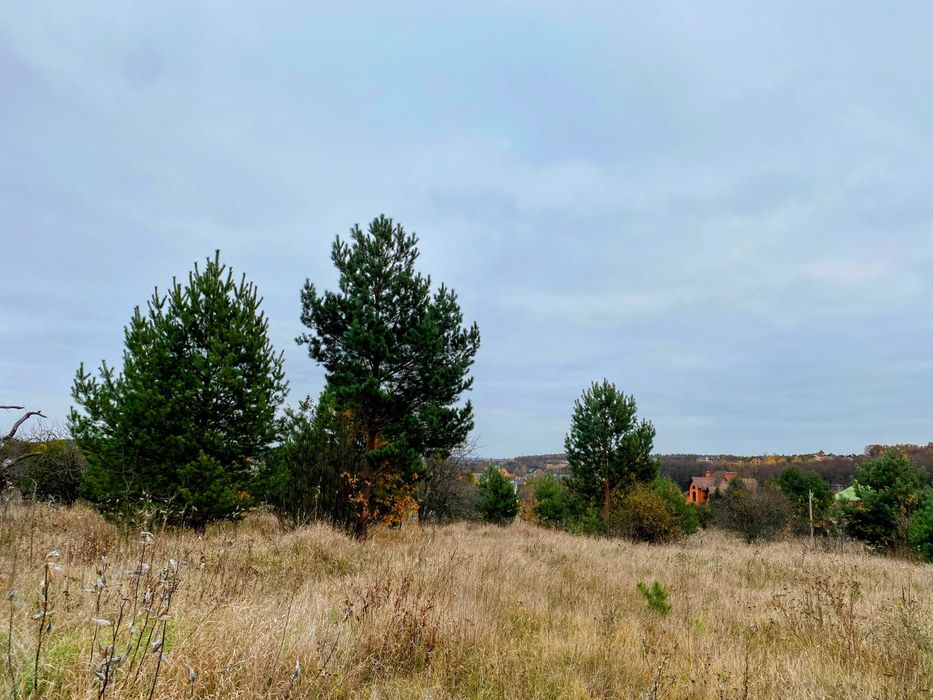 Продаж унікальної ділянки 9 сот з Соснами та видом на Заповідний ліс.
