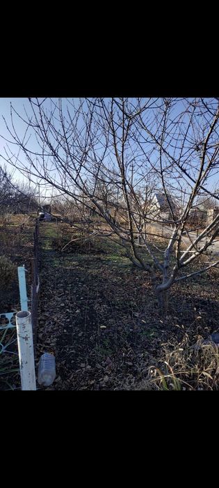 Продам земельну ділянку у СТ Шинник 4