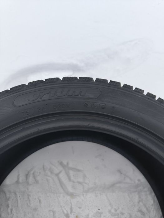 Шини Serbia ( oriom winter)